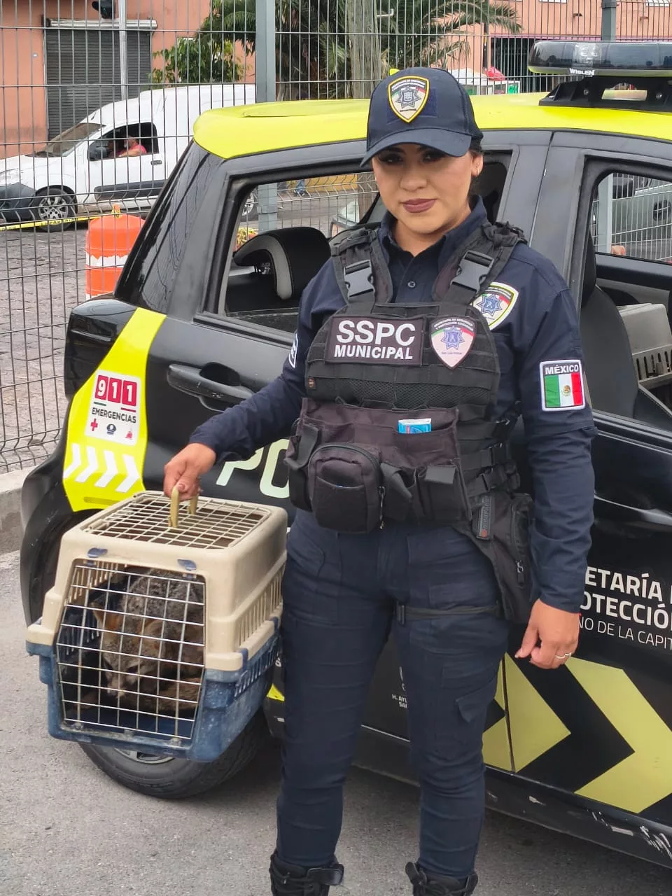 seguridad