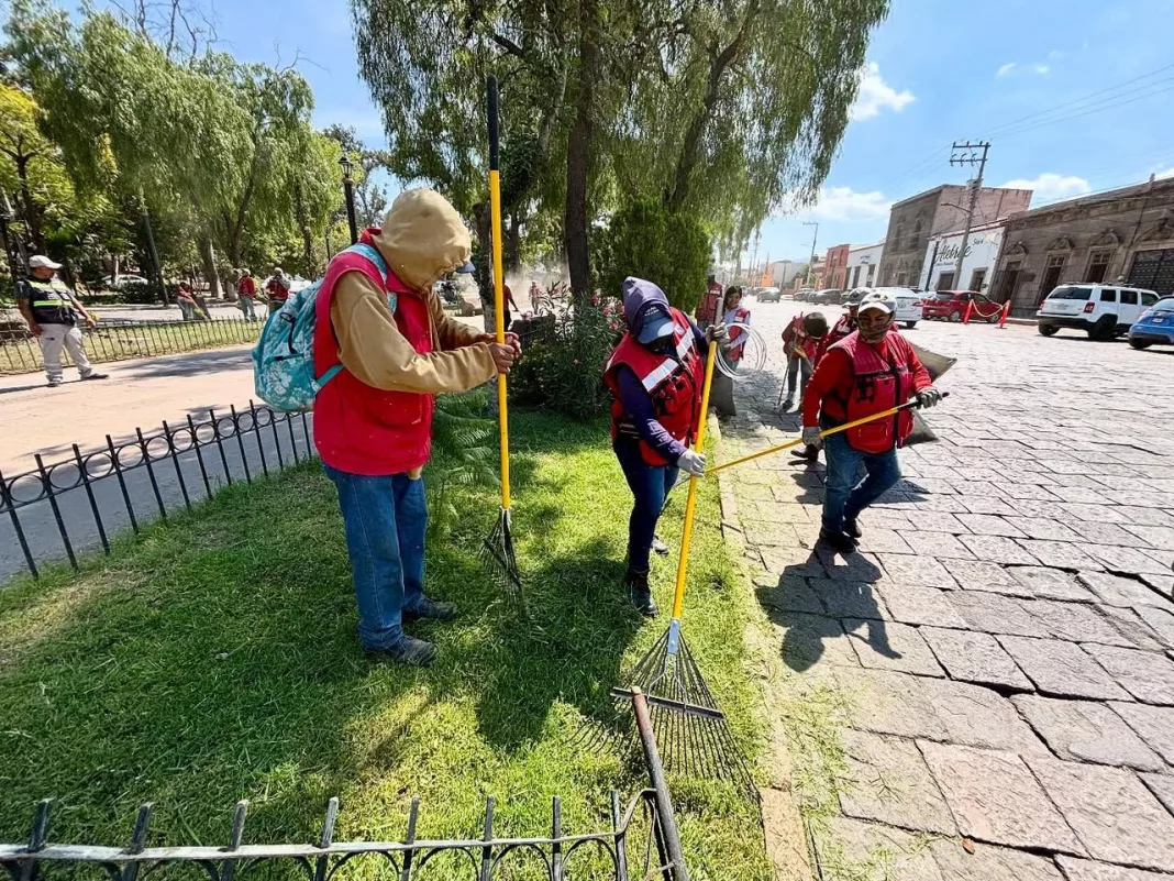 dirección de servicios municipales
